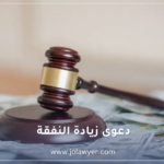 دعوى زيادة النفقة